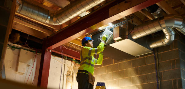Air Duct Mold Removal in Blue Springs, MO
