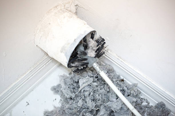 Best Home Air Vent Cleaning  in Blue Springs, MO