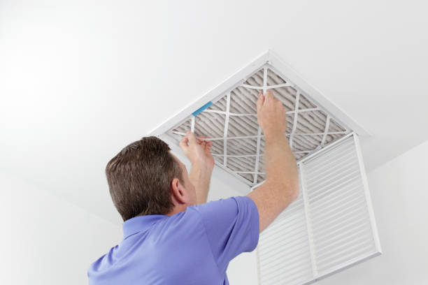 Air Duct Mold Removal in Blue Springs, MO